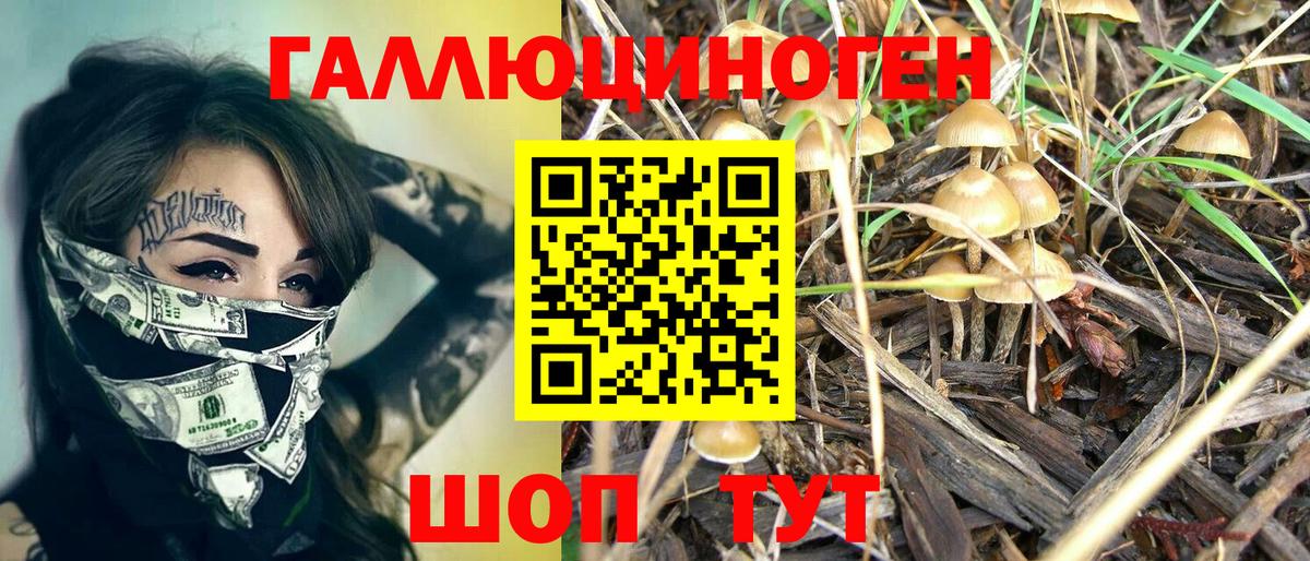 Артёмовский  Галлюциногенные грибы ЛСД  наркошоп  Вход с VPN 