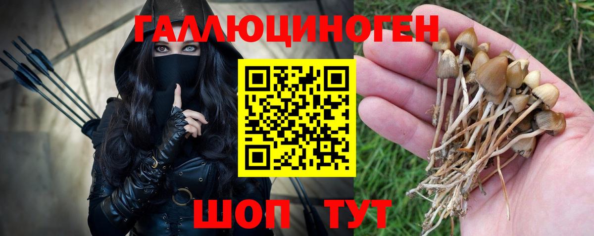 Псилоцибиновые грибы Magic Shrooms Артёмовский